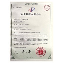 實用新型專利 (2)